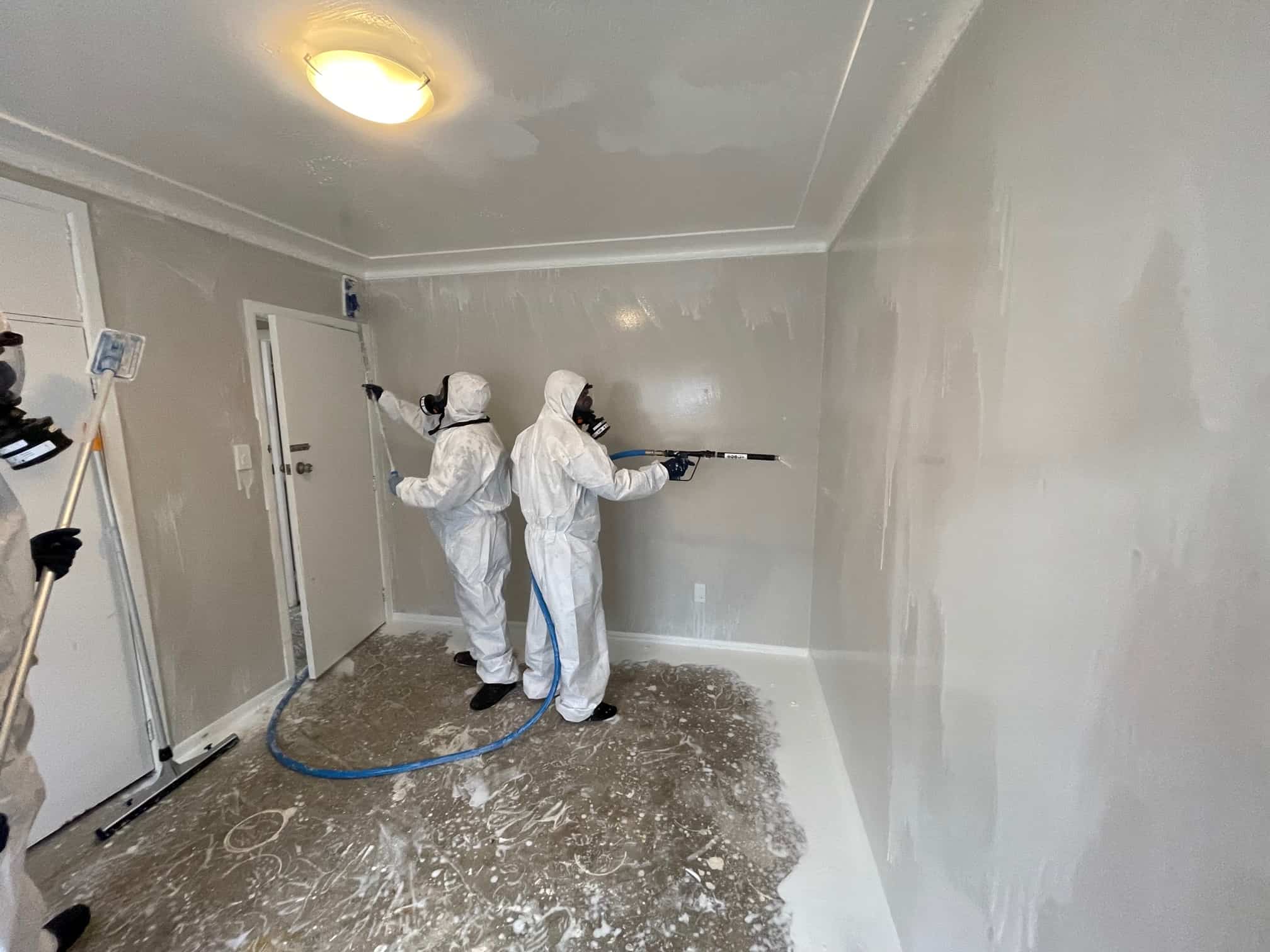 Professional decontamination equipment and protective controls